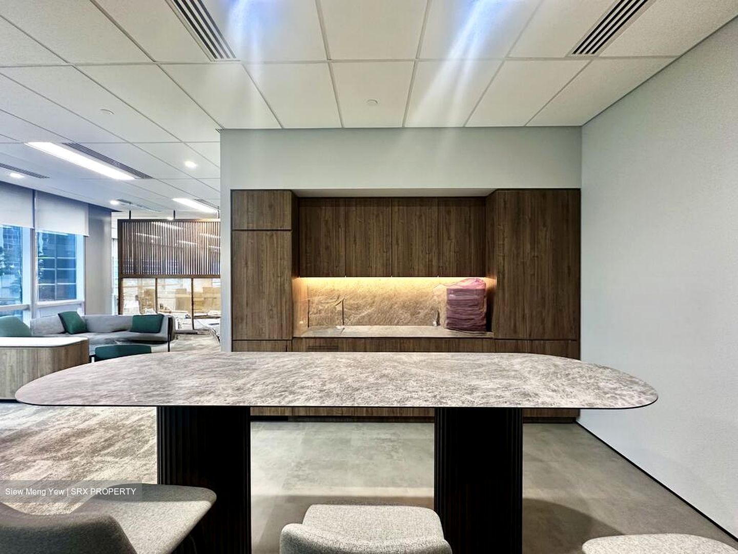 Mapletree Anson (D2), Office #500574441